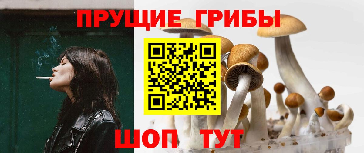 Псилоцибиновые грибы ЛСД Ковров